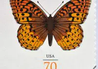 USPS Butterfly Stamp