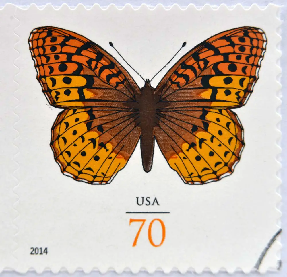 USPS Butterfly Stamp Everything You Need to Know My Stamp Guide